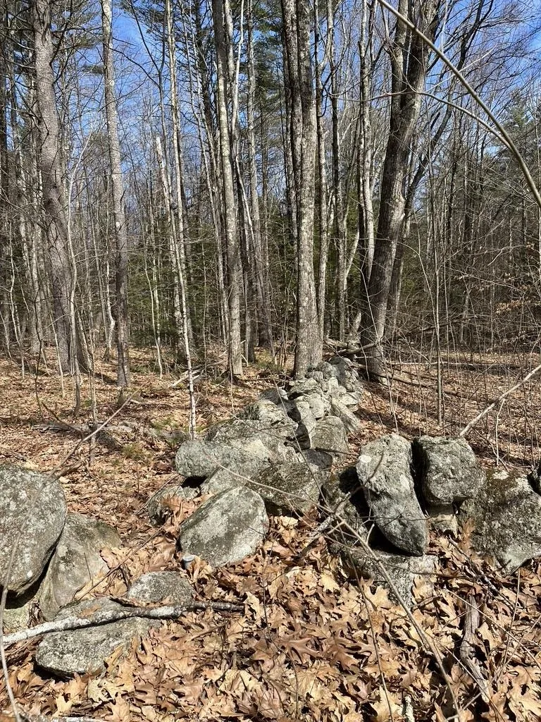 Gerrish Road Webster NH 03303