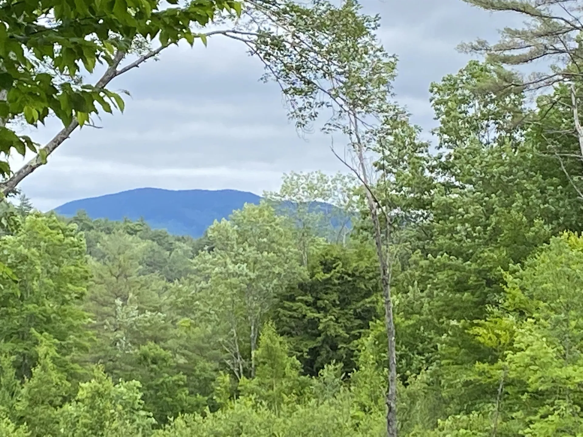 1049 Vt Route 244 Fairlee VT 05045