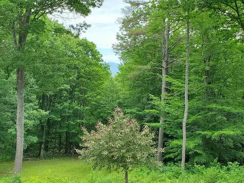 705 South Road Canaan NH 03741