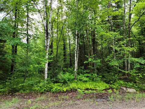 Lot 47 Belabachi Road Bethlehem NH 03574