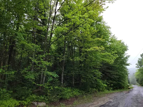 Lot 47 Belabachi Road Bethlehem NH 03574