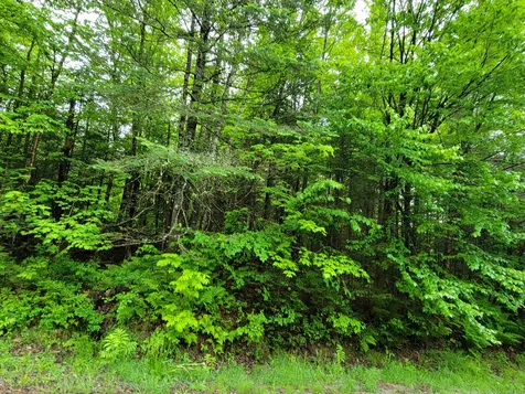 Lot 47 Belabachi Road Bethlehem NH 03574