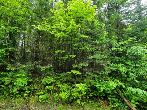 Lot 47 Belabachi Road Bethlehem NH 03574
