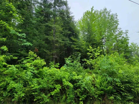 Lot 47 Belabachi Road Bethlehem NH 03574