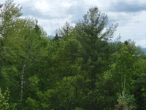 Lot 47 Belabachi Road Bethlehem NH 03574