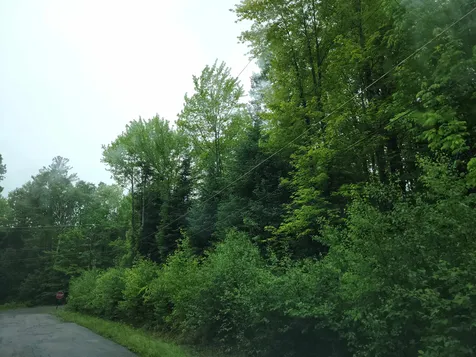 Lot 47 Belabachi Road Bethlehem NH 03574