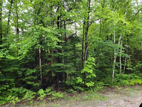 Lot 47 Belabachi Road Bethlehem NH 03574
