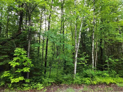 Lot 47 Belabachi Road Bethlehem NH 03574