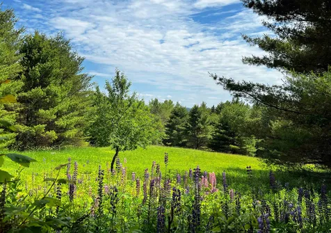 1210 Stanton Road Danville VT 05828