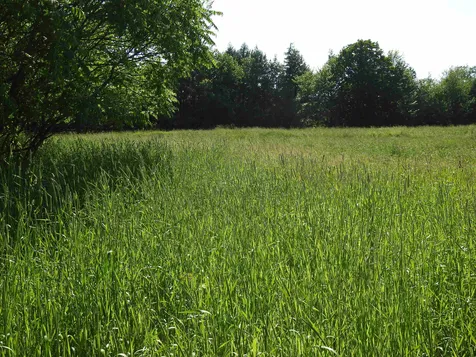 1369 Sand Hill Road Enosburg VT 05450