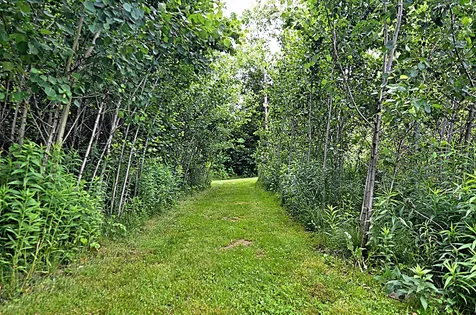 197 Bridge Road Andover NH 03216