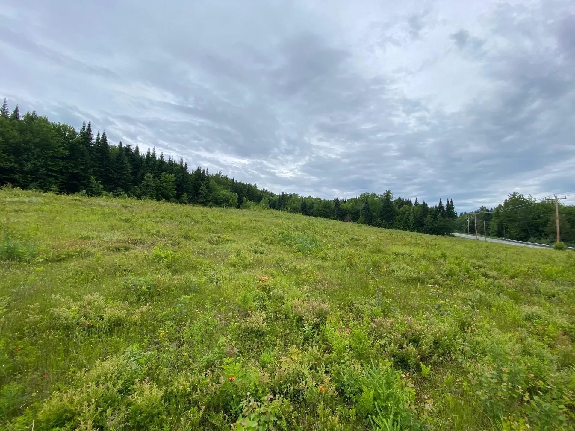 - Route 102 Bloomfield VT 05905