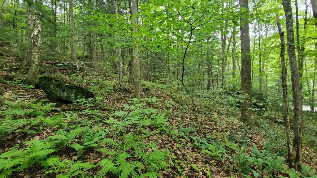 Dean Brook Road Chester VT 05143