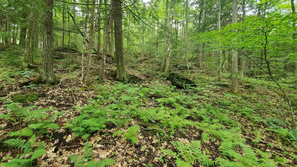 Dean Brook Road Chester VT 05143
