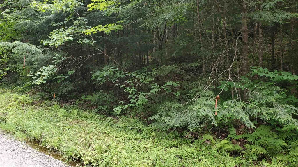 Dean Brook Road Chester VT 05143