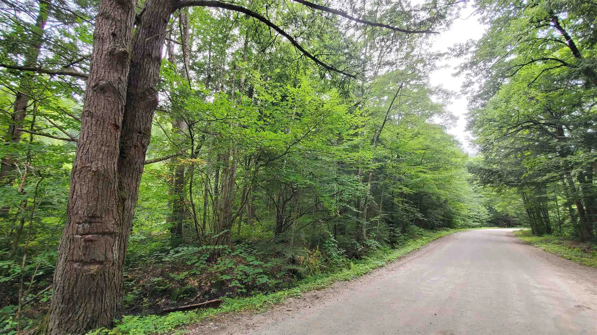Dean Brook Road Chester VT 05143