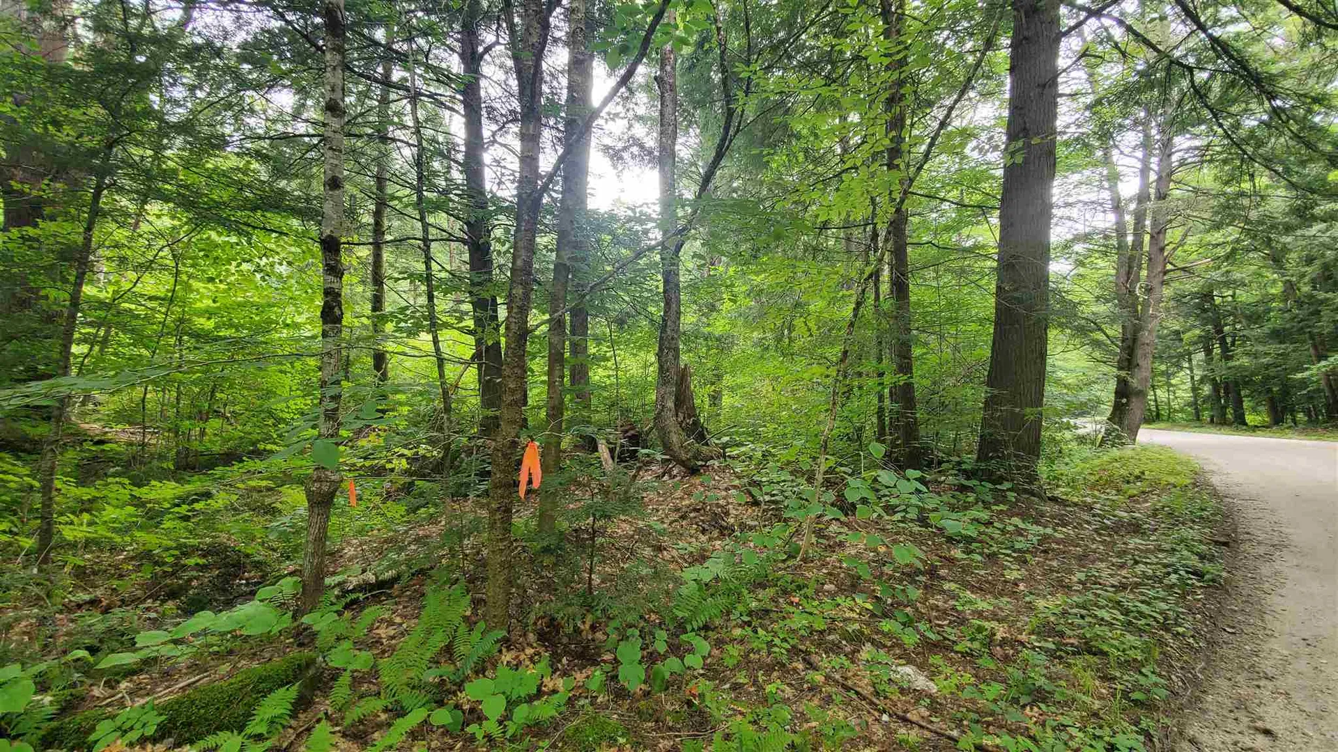 Dean Brook Road Chester VT 05143
