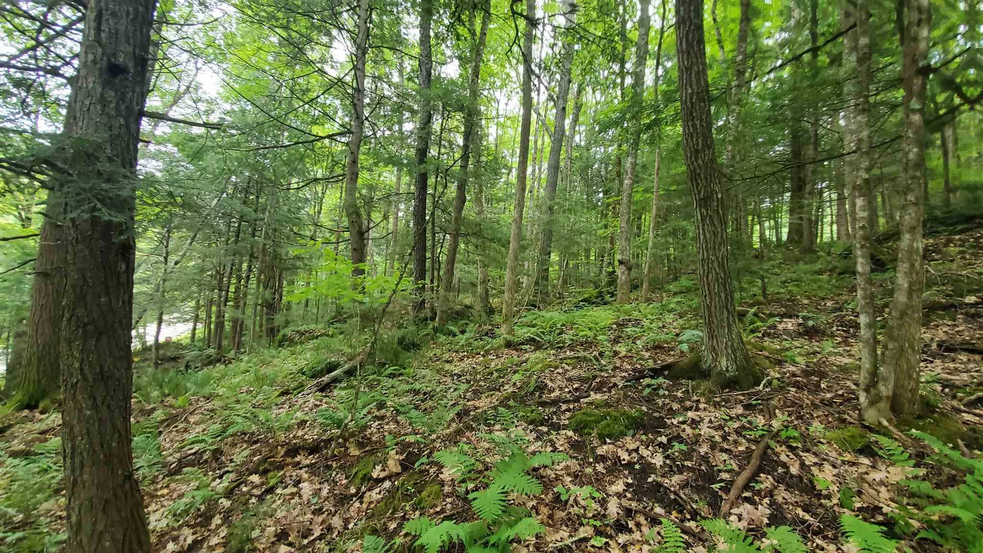Dean Brook Road Chester VT 05143