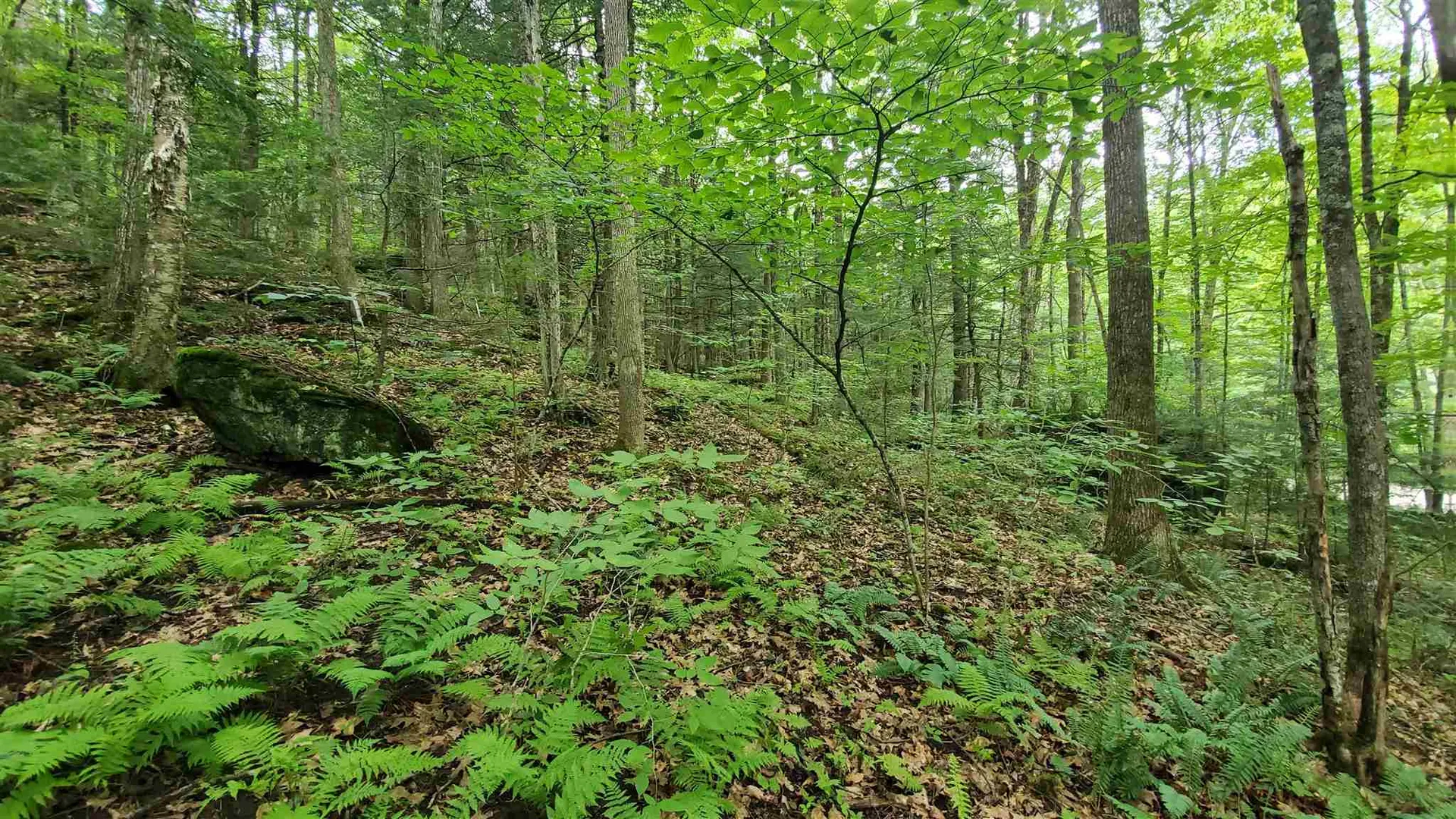 Dean Brook Road Chester VT 05143