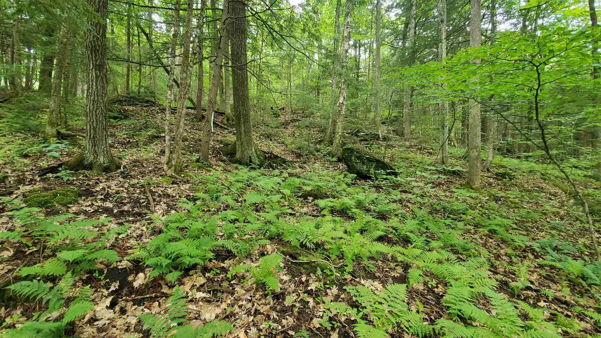 Dean Brook Road Chester VT 05143