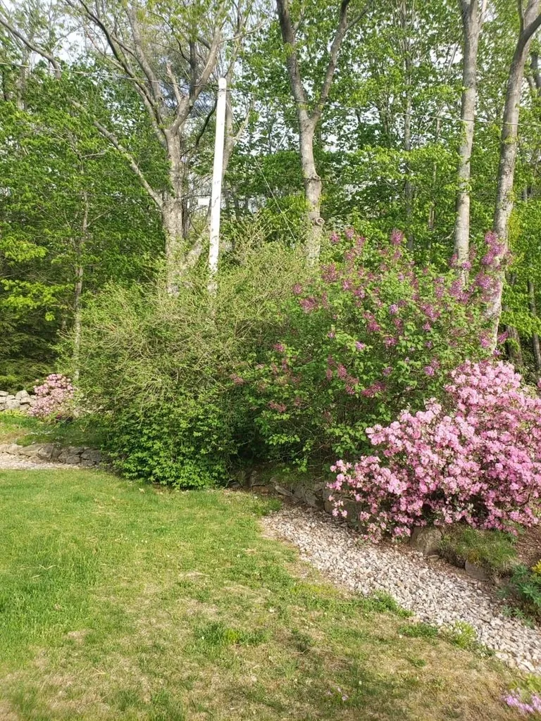 926 Cherry Valley Road Gilford NH 03249