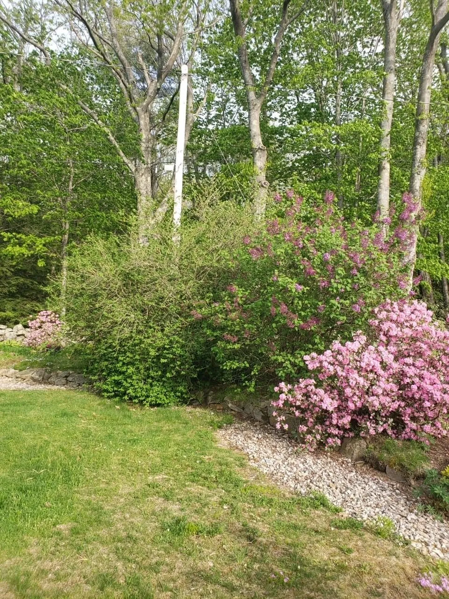 926 Cherry Valley Road Gilford NH 03249
