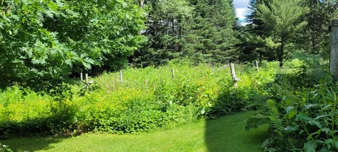 378 Hill Street Danville VT 05828