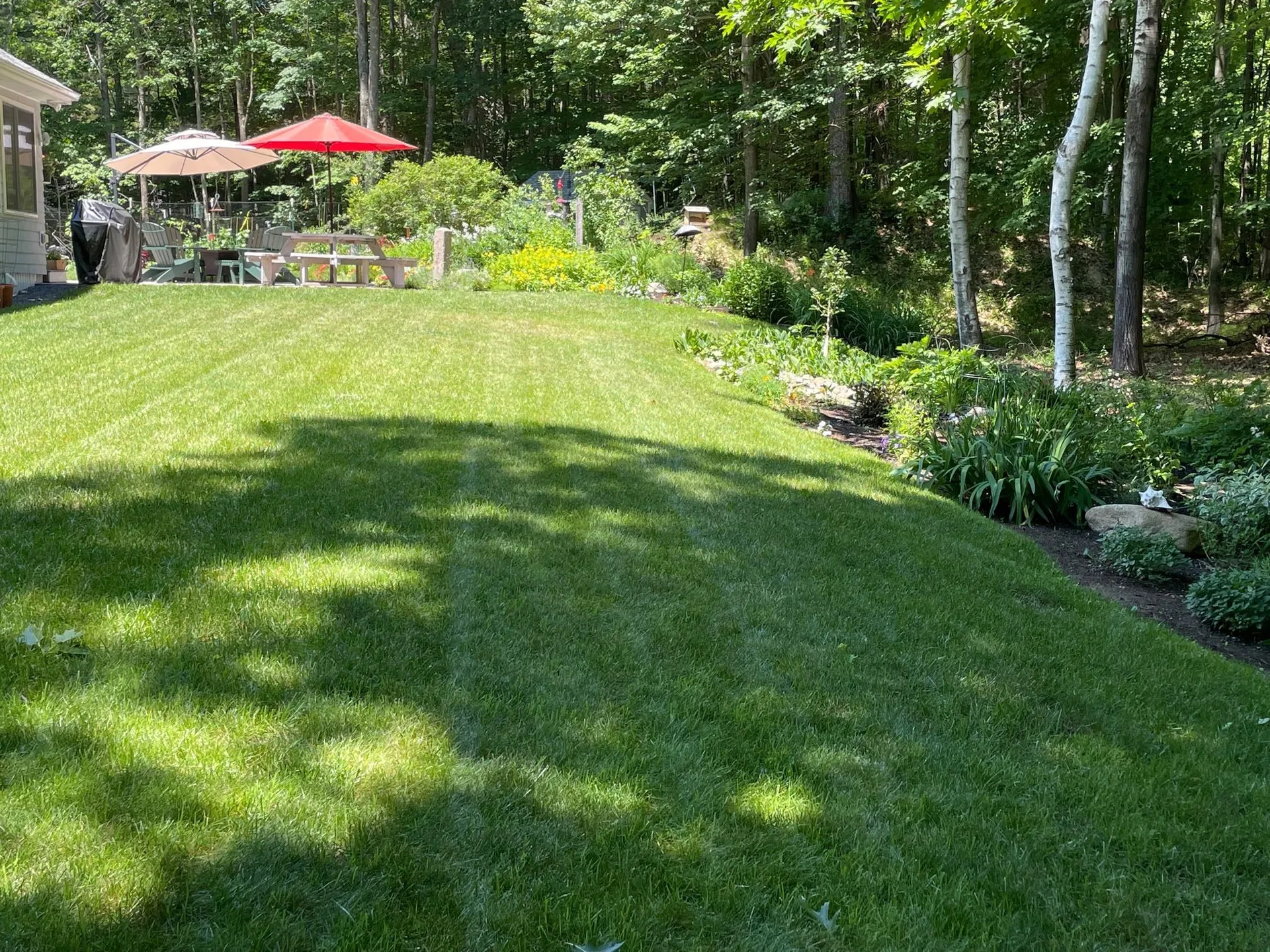 7 Berrywood Drive Wolfeboro NH 03894