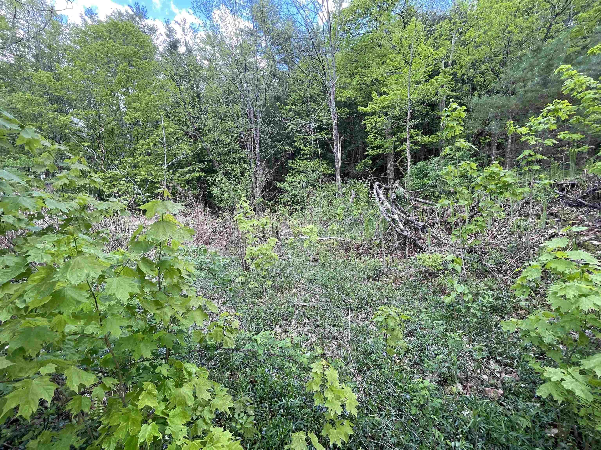 1901 Royalton Hill Road Royalton VT 05068