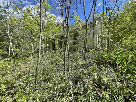 1901 Royalton Hill Road Royalton VT 05068