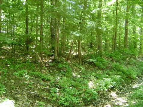 00 Baden Street Moultonborough NH 03254