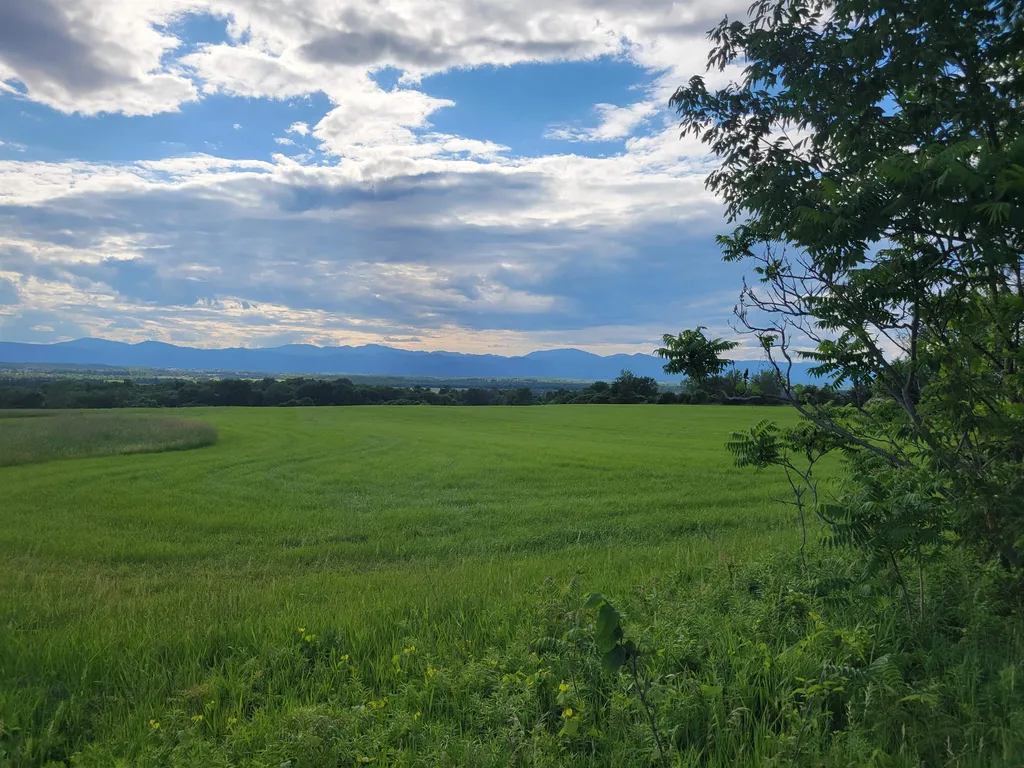 2209 East Street Bridport VT 05734
