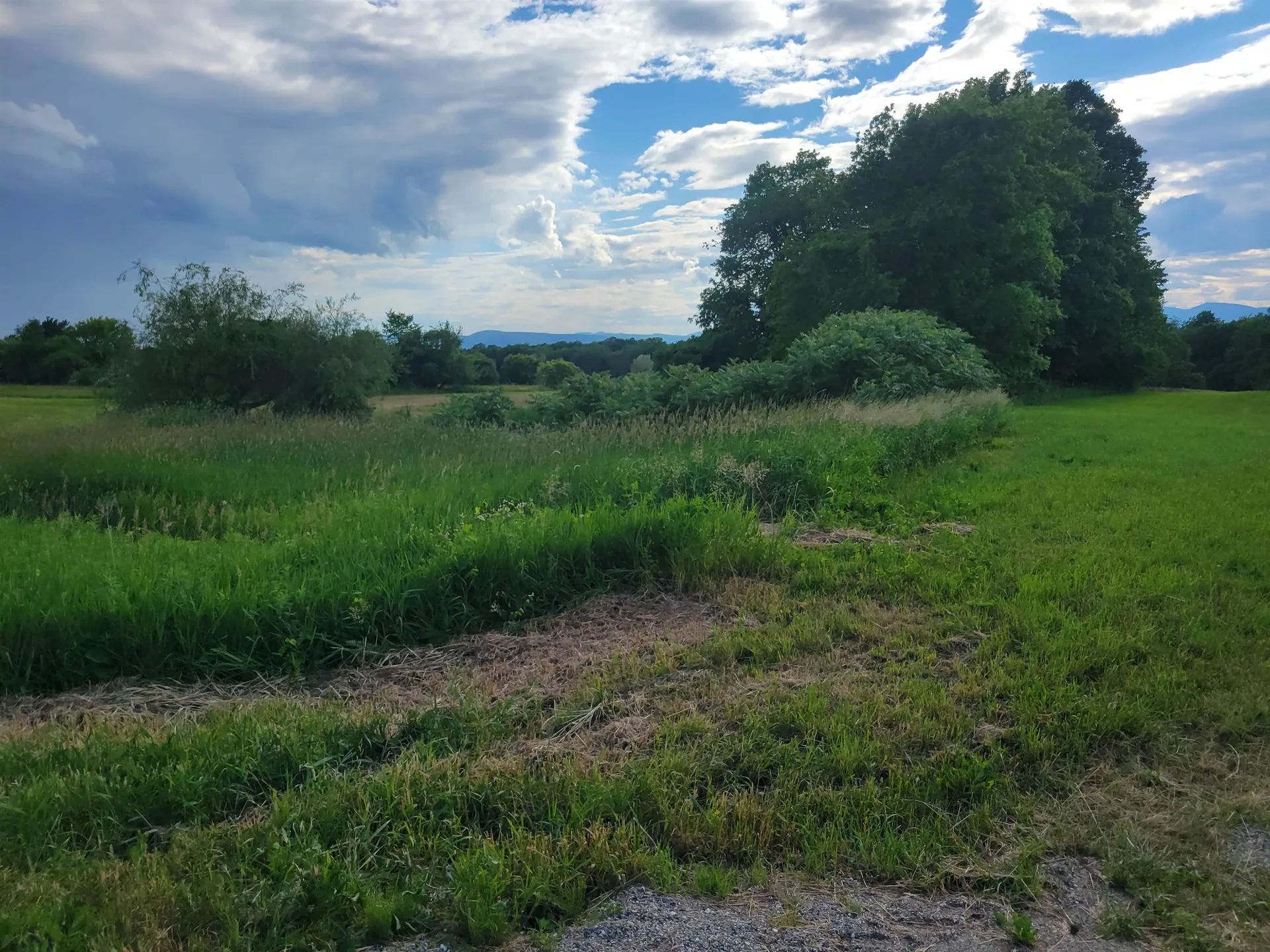 2209 East Street Bridport VT 05734