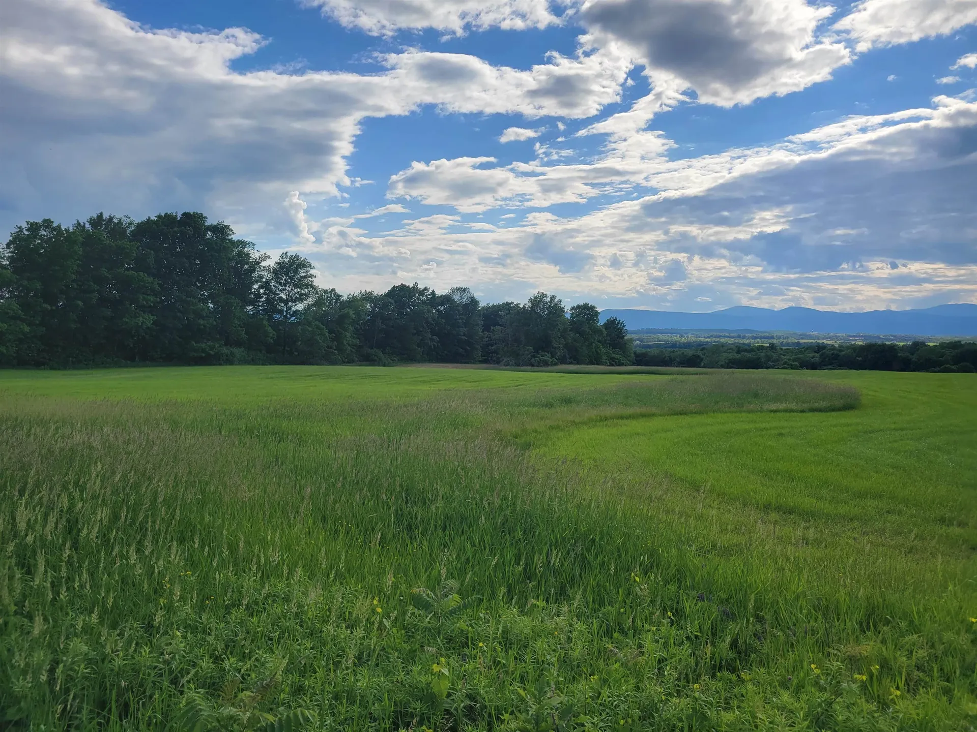 2209 East Street Bridport VT 05734