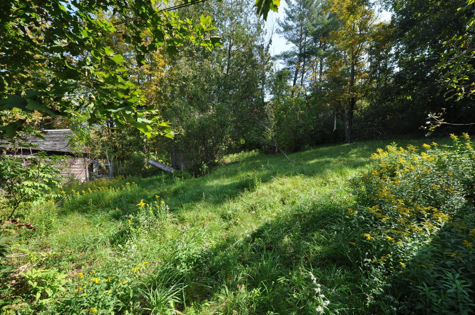2446 Route 30 North Castleton VT 05735