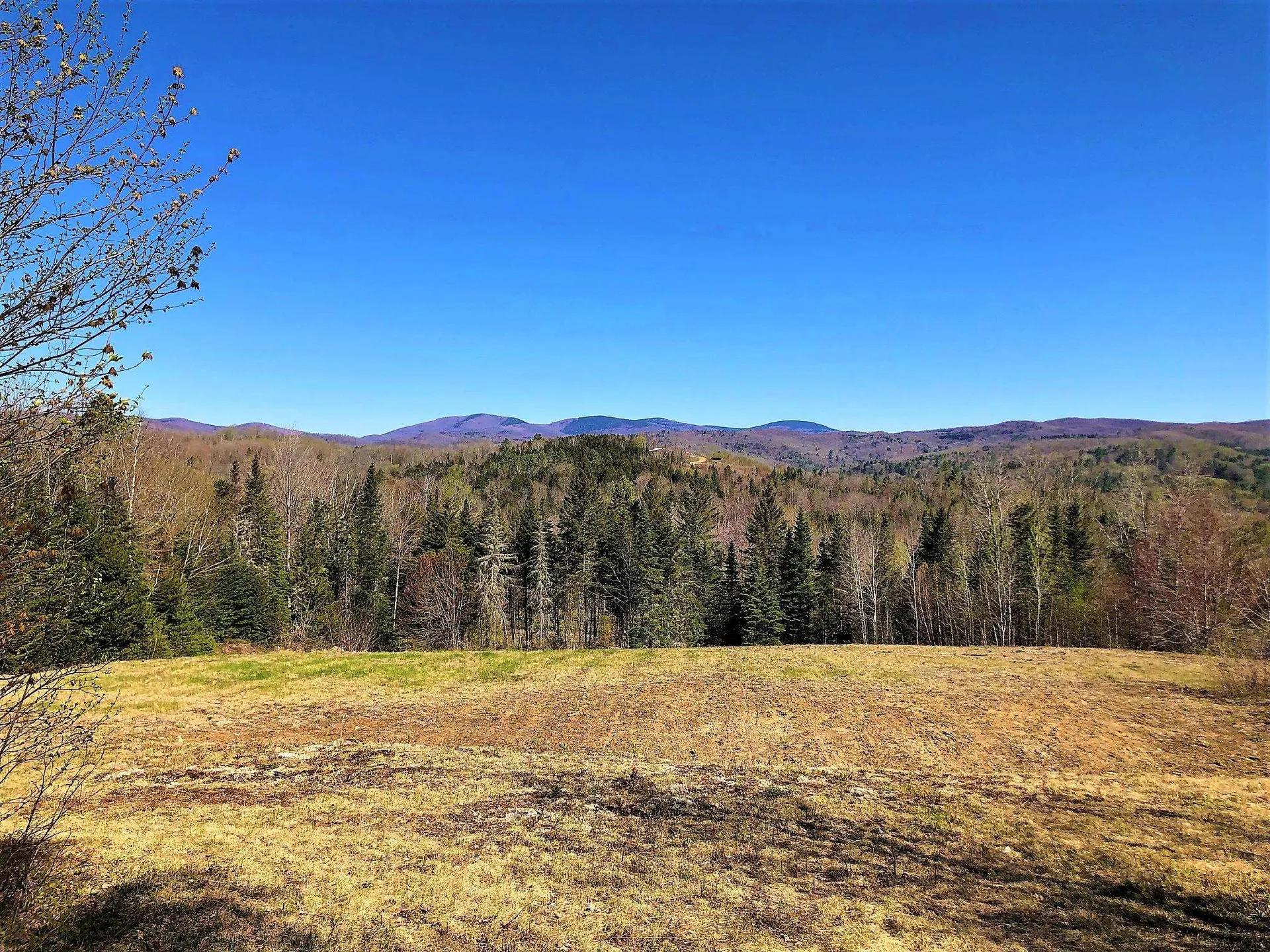 382 Hazlett Drive Corinth VT 05039
