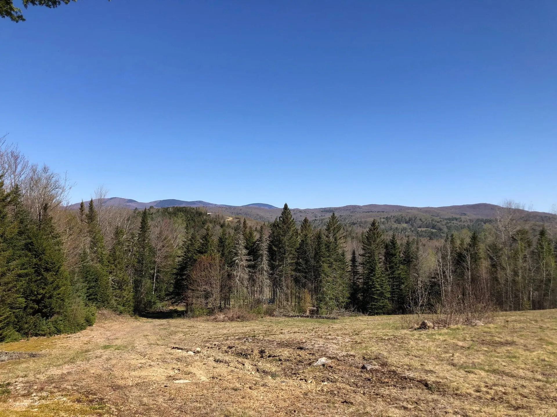 382 Hazlett Drive Corinth VT 05039
