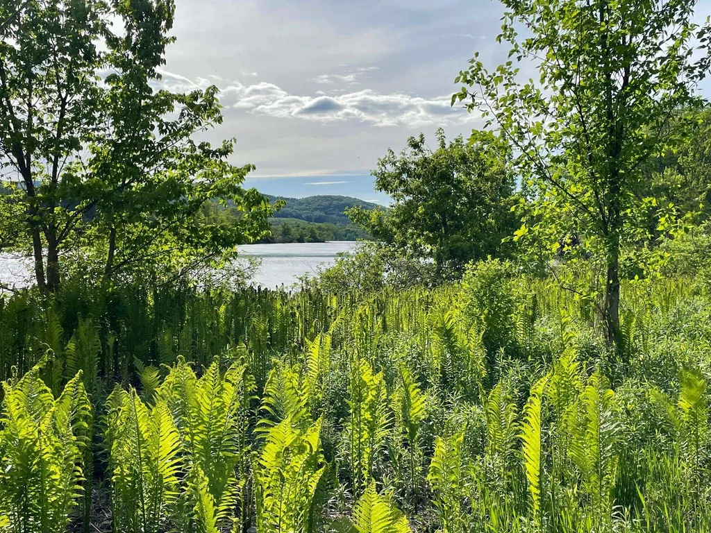 9 Highview Meadows Piermont NH 03779