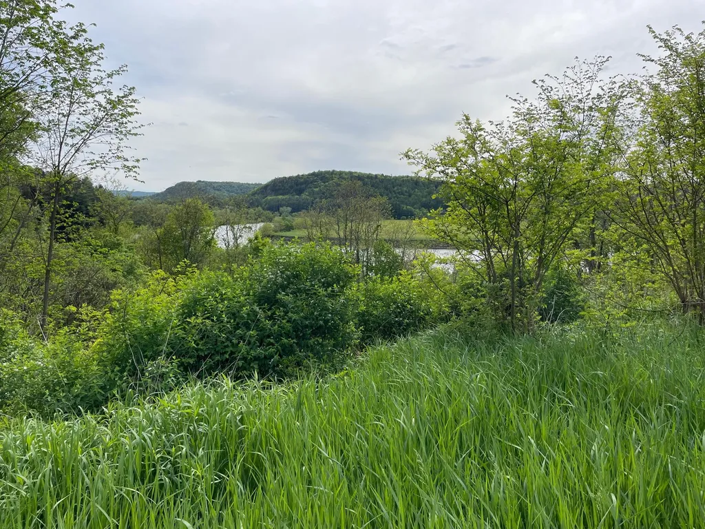 9 Highview Meadows Piermont NH 03779