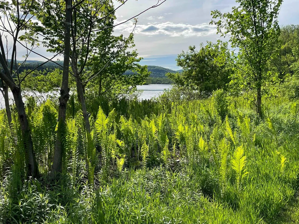 9 Highview Meadows Piermont NH 03779
