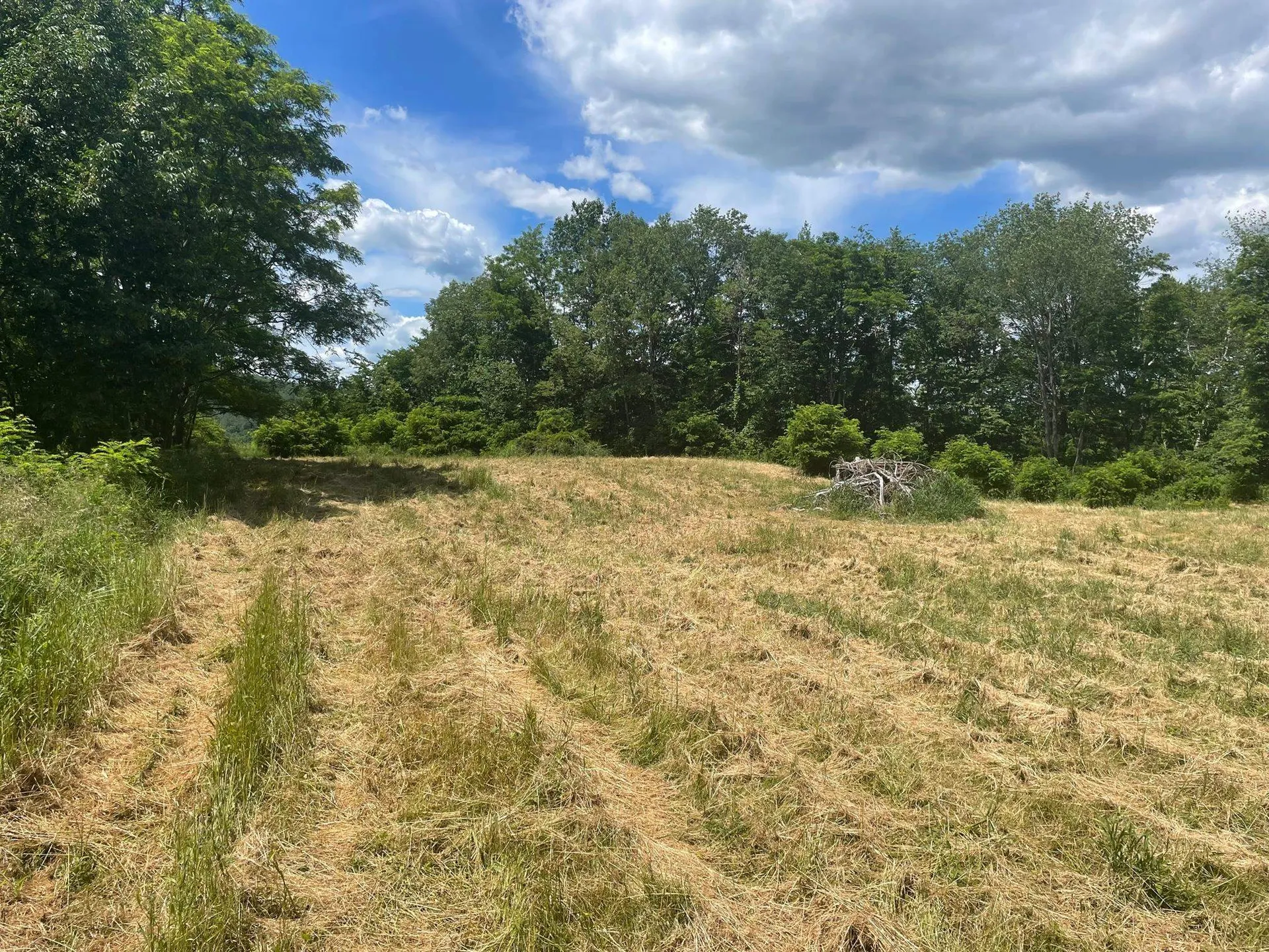 9 Highview Meadows Piermont NH 03779
