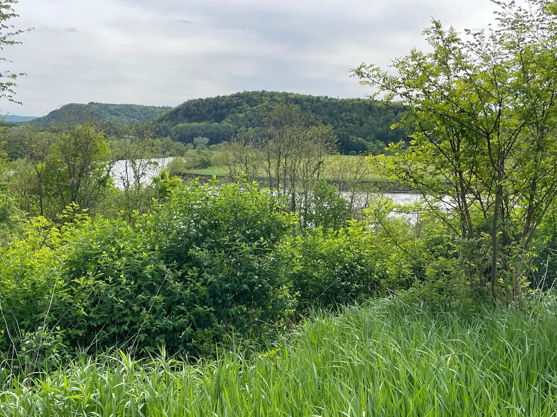 9 Highview Meadows Piermont NH 03779