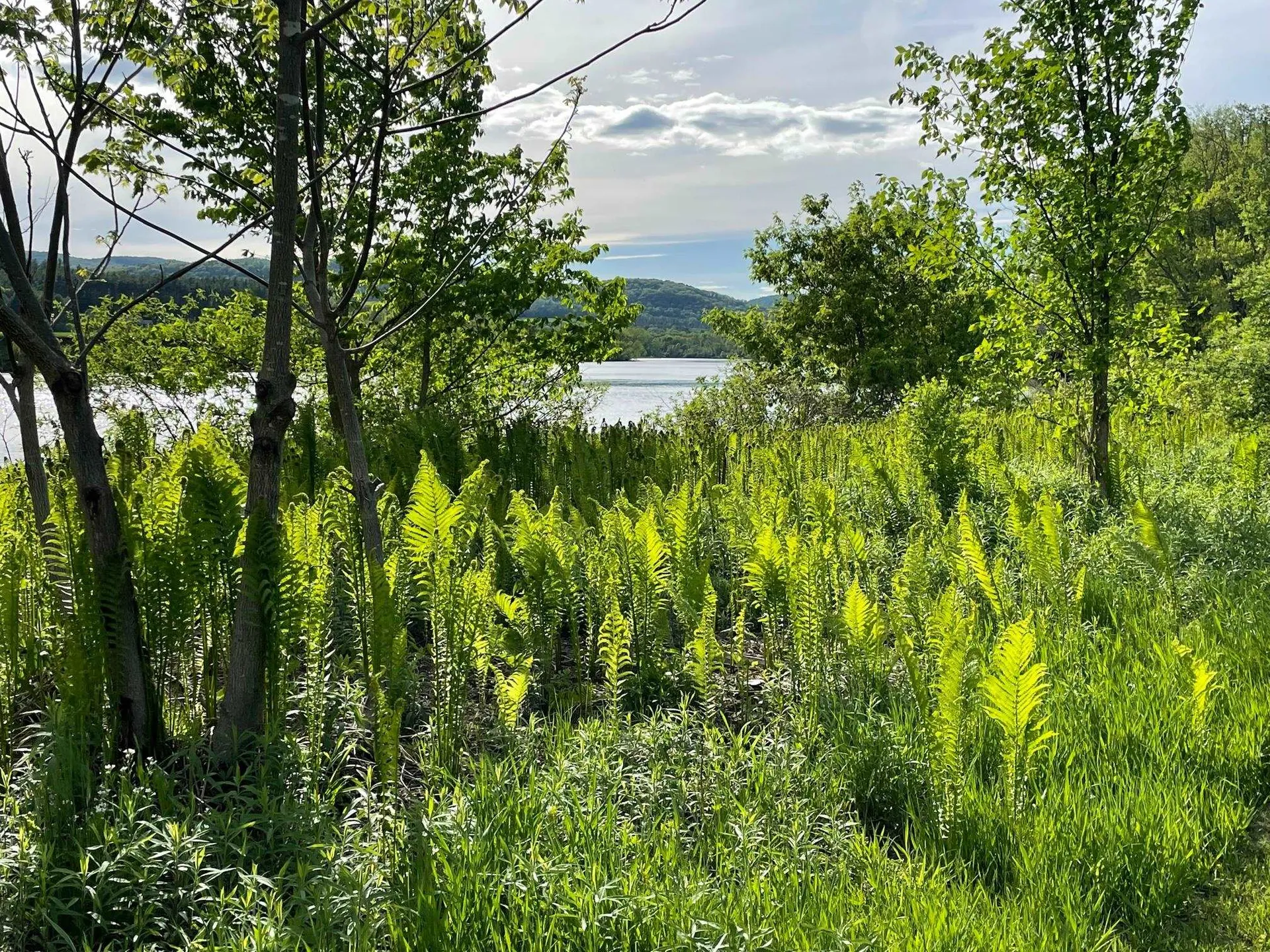 9 Highview Meadows Piermont NH 03779