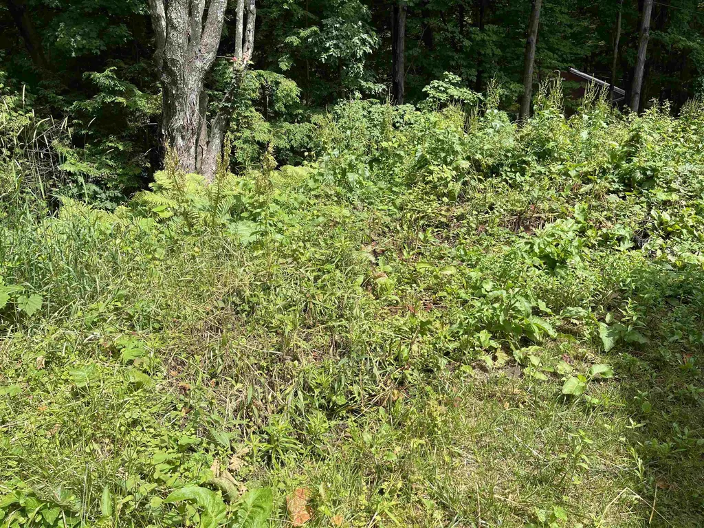 23 Birchwood Drive Hinesburg VT 05461