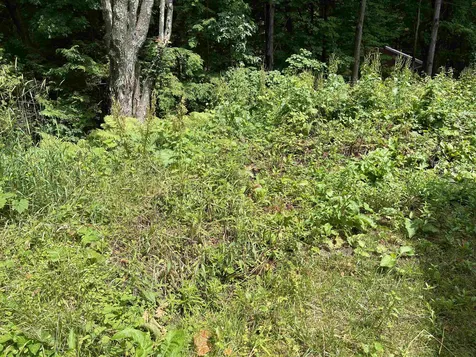 23 Birchwood Drive Hinesburg VT 05461