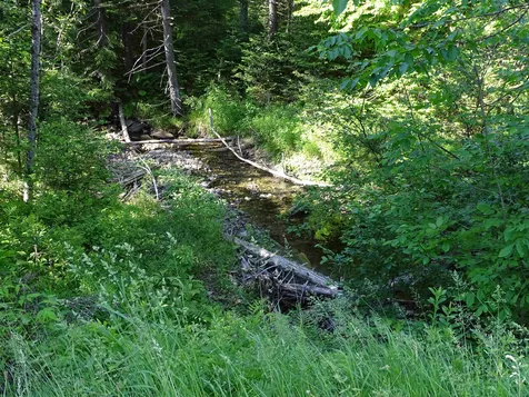 393 Parish School Road Glover VT 05839