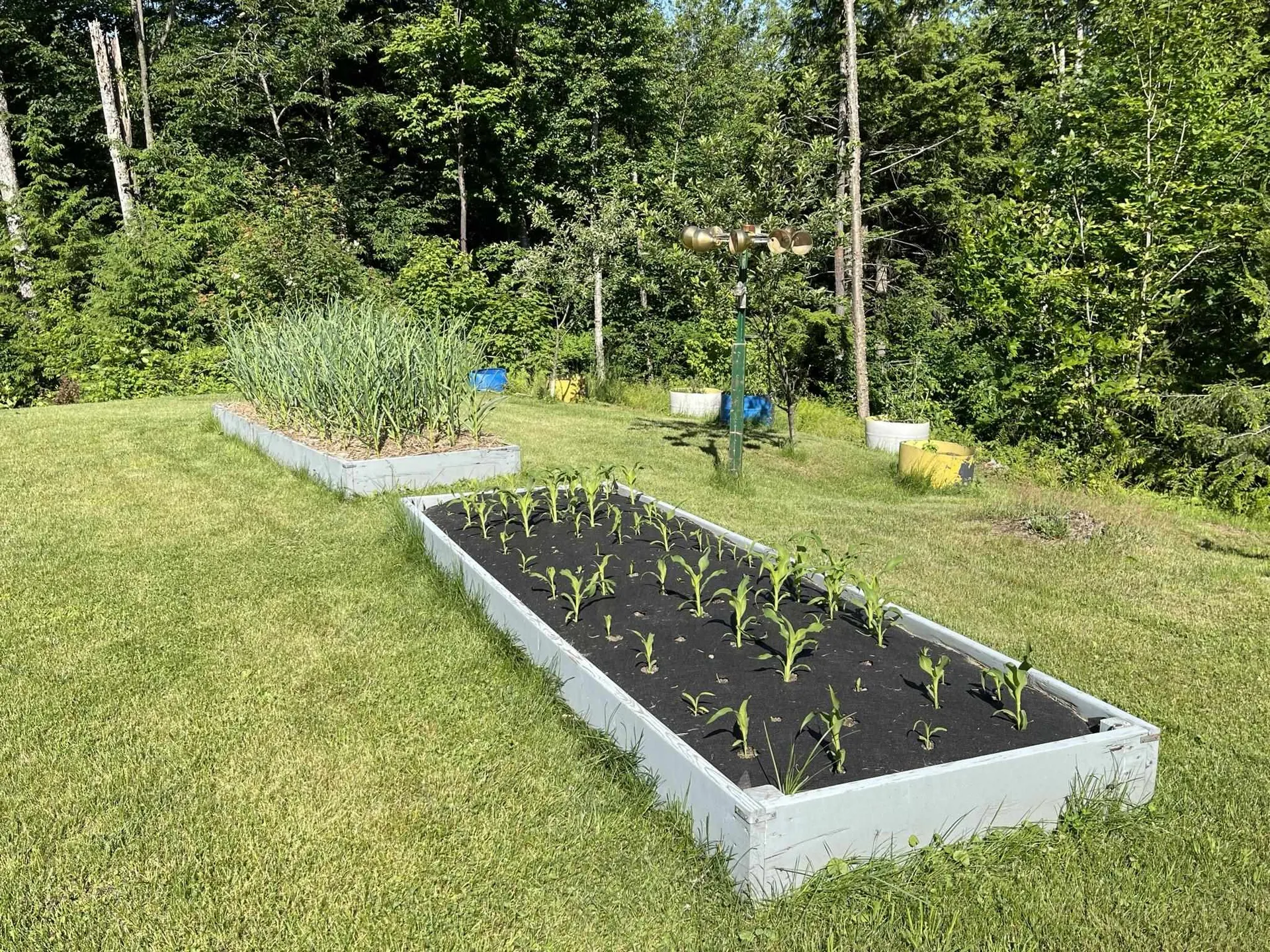 243 Spring Hill Road Waitsfield VT 05673