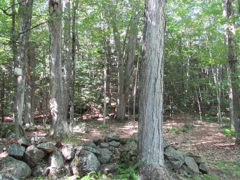 14 Bidewee Road Harrisville NH 03450