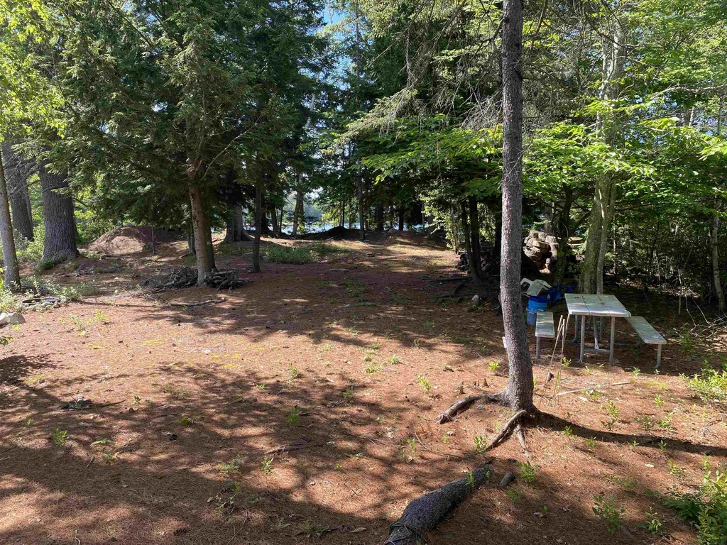 Duncan Lake Island Ossipee NH 03864