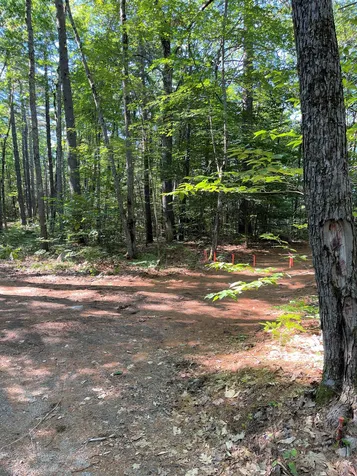 Duncan Lake Island Ossipee NH 03864